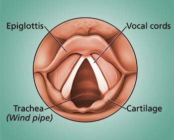 hoarseness of voice introduction