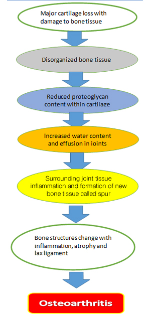 osteoarthritis disease